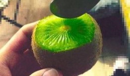 怎么吃抖音网红的瓜,揭秘网红美食背后的秘密